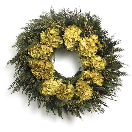 20" Golden Hydrangea Cedar Wreath